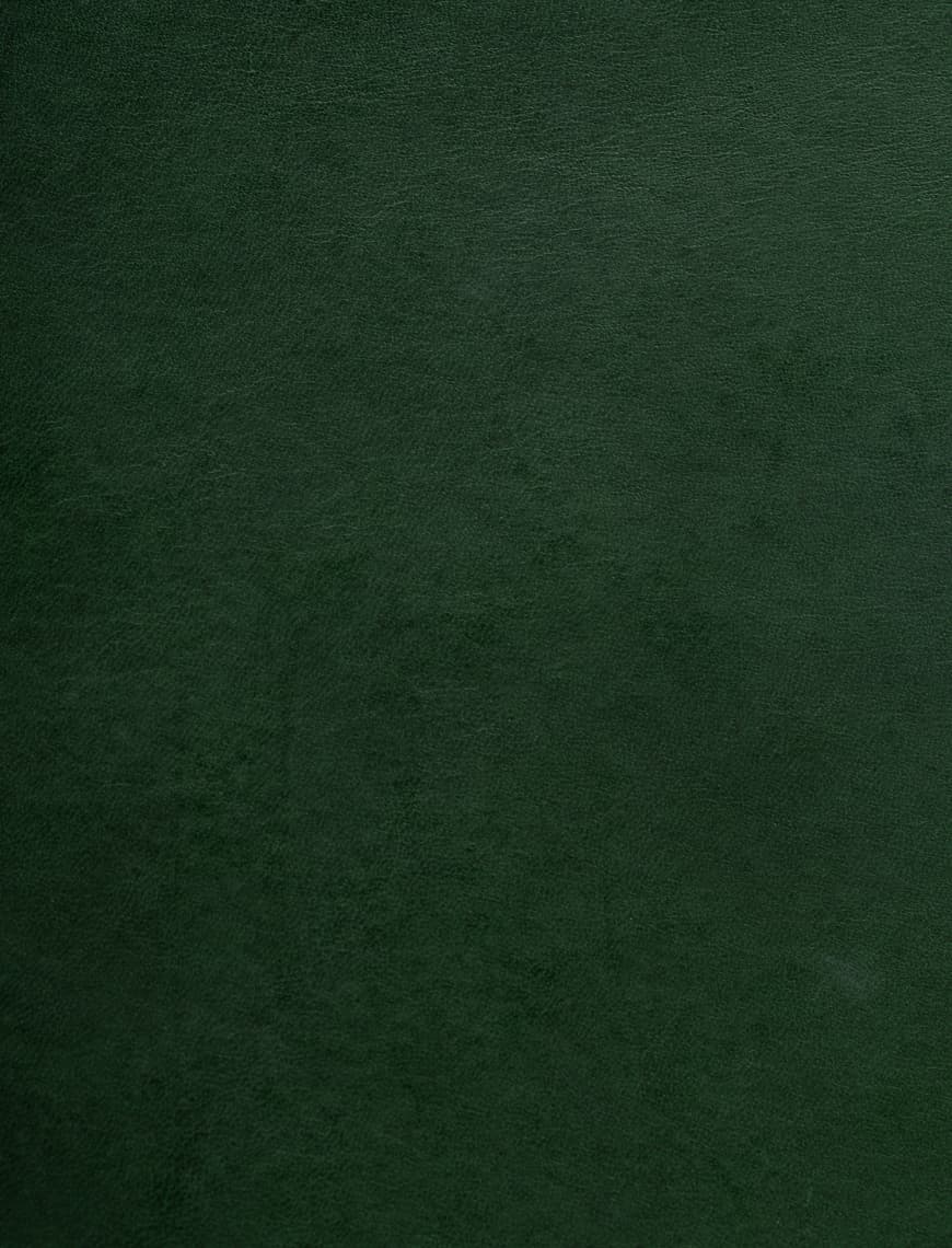 NA-GN自然松绿