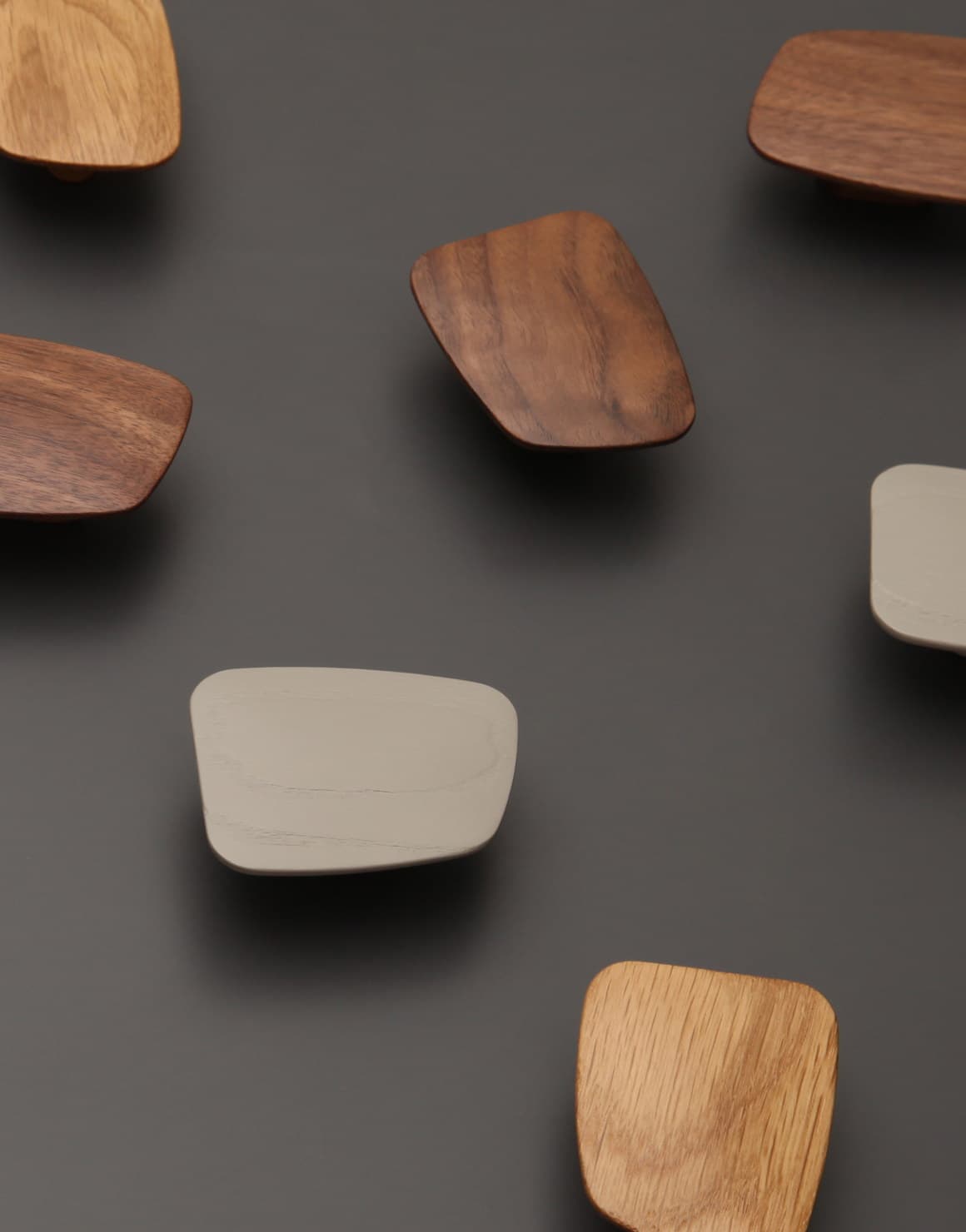 TORRINI product evolution 3