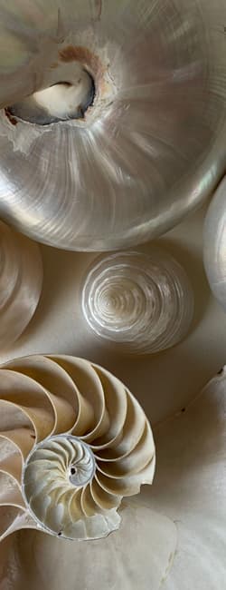 Natural material image 3